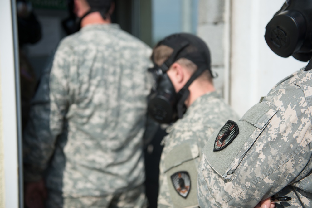 650th MI Gp Trains in TSC Benelux Range, CBRN Room