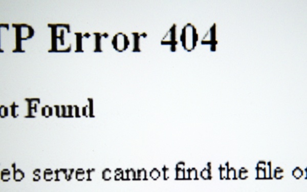 Rise of the internauts