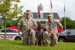 Pack Leader: Marine Military Working Dog Handler