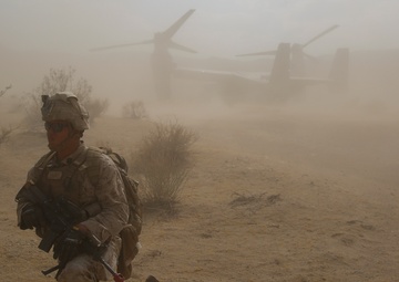 3rd Battalion, 7th Marines never leave a Marine behind