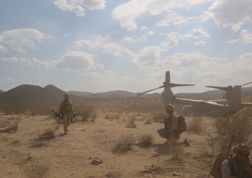 3rd Battalion, 7th Marines never leave a Marine behind