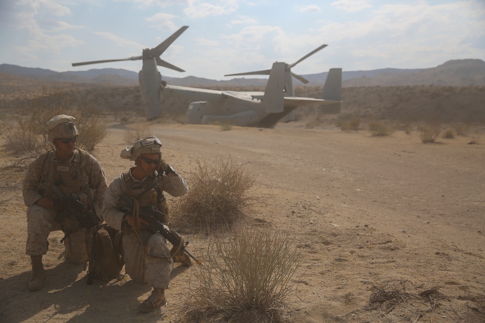3rd Battalion, 7th Marines never leave a Marine behind
