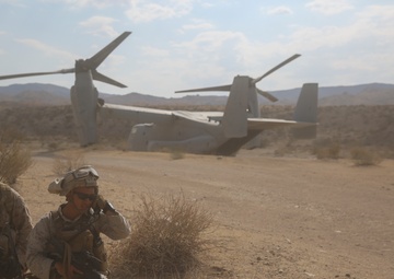 3rd Battalion, 7th Marines never leave a Marine behind