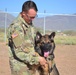 National Dog Day with Military Working Dogs