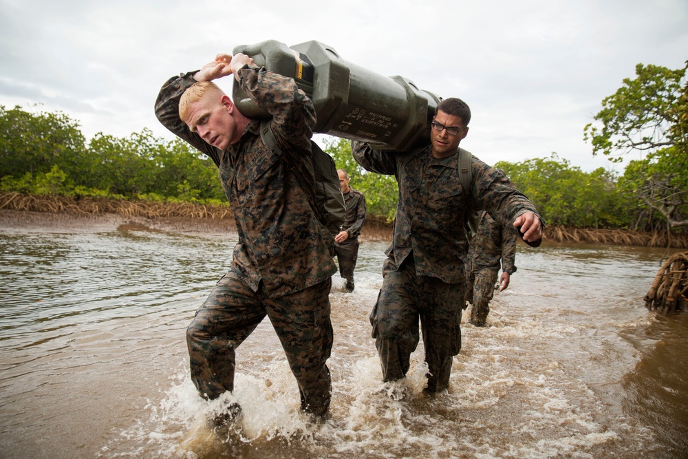 U.S. Marines and French soldiers get down and dirty in the mangroves