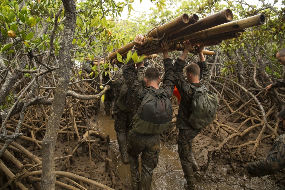 U.S. Marines and French soldiers get down and dirty in the mangroves