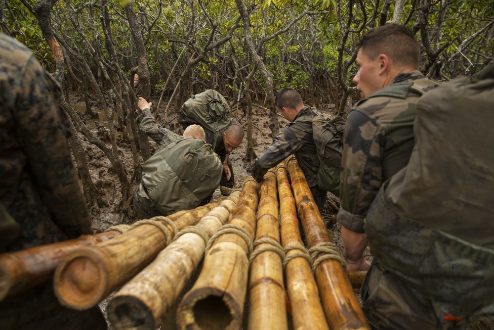 U.S. Marines and French soldiers get down and dirty in the mangroves