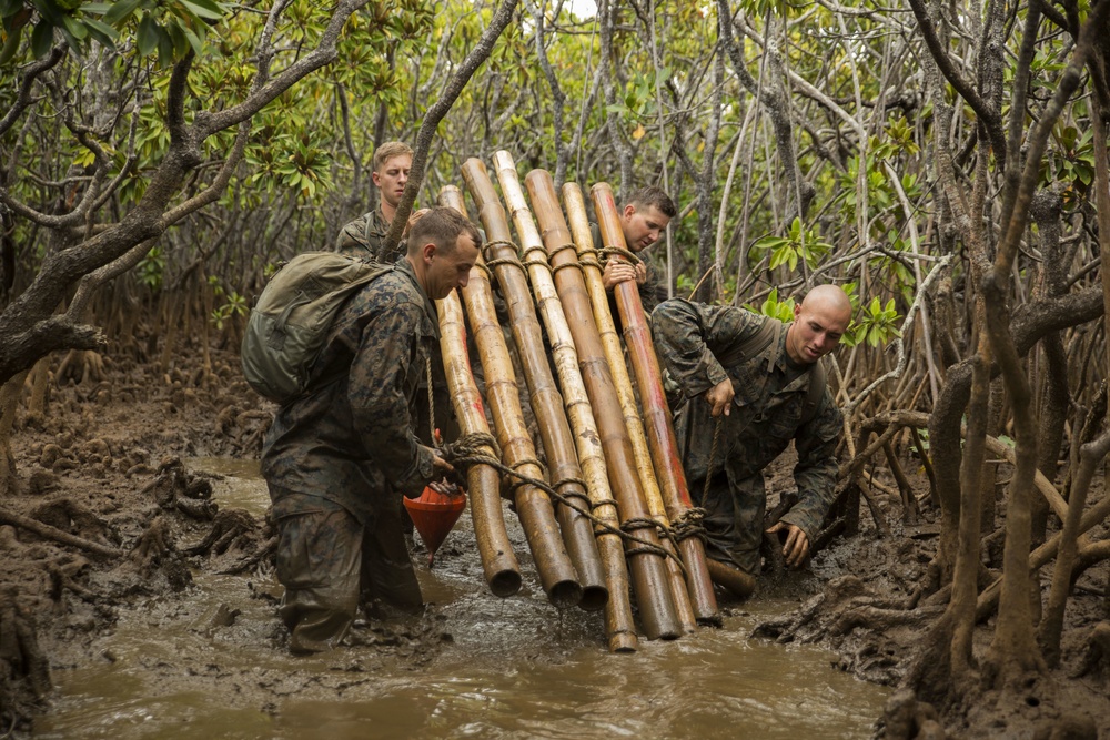 U.S. Marines and French soldiers get down and dirty in the mangroves