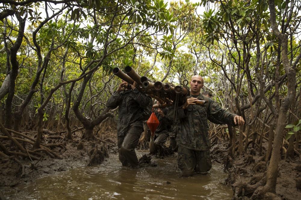 U.S. Marines and French soldiers get down and dirty in the mangroves