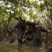 U.S. Marines and French soldiers get down and dirty in the mangroves