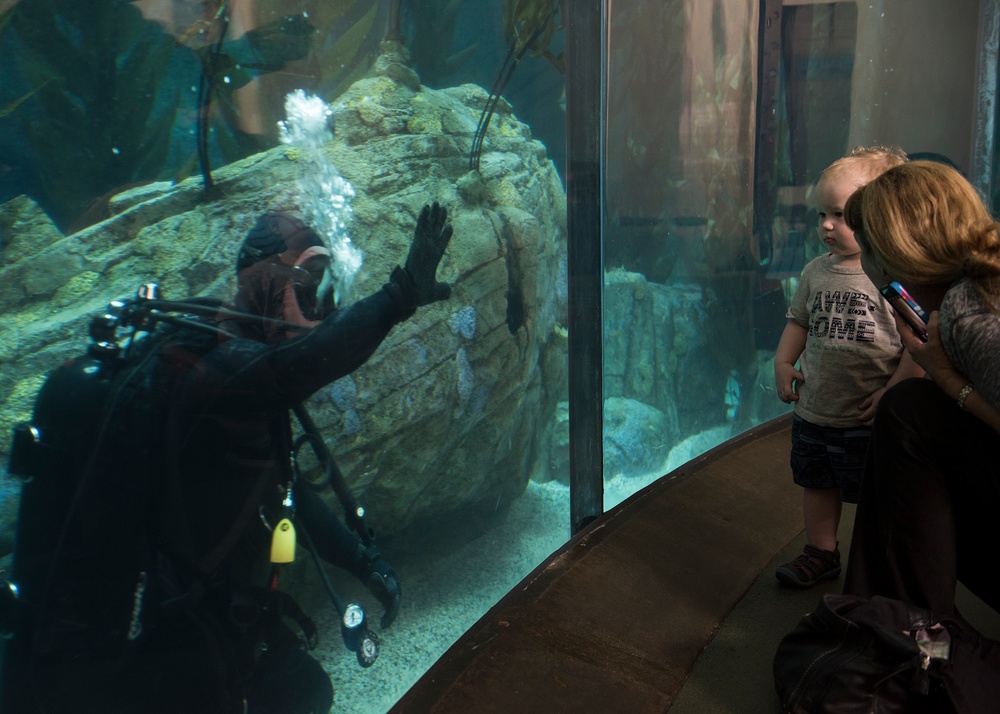 Navy Divers at Aquarium of the Pacific During LA Fleet Week 2016