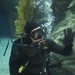 Navy Divers at Aquarium of the Pacific During LA Fleet Week 2016