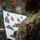 USAG Benelux Soldiers qualify with brand new M4A1 carbines. USAG Benelux Soldiers qualify with brand new M4A1 carbines.