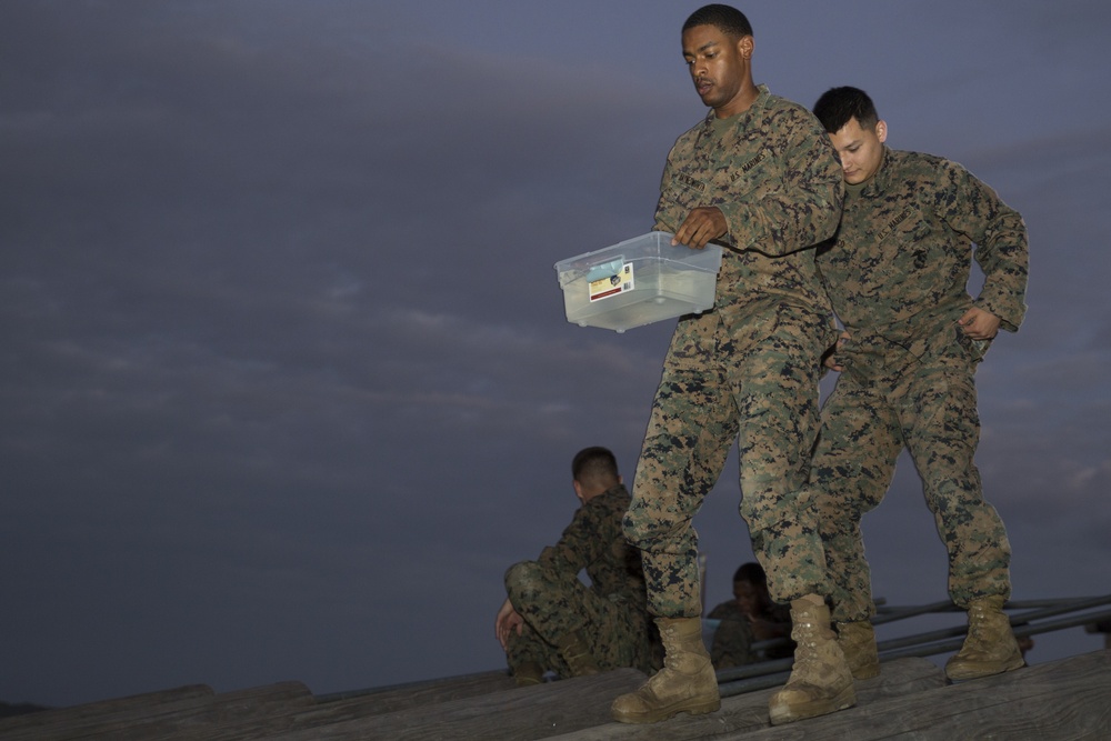 From Queens to Marines