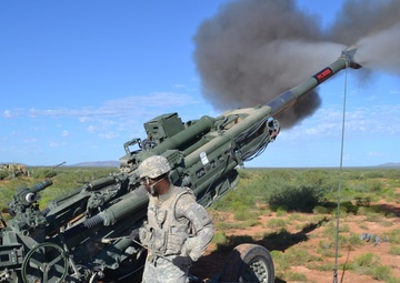 Btry. A, 2-3 FA, culminates training with the DART
