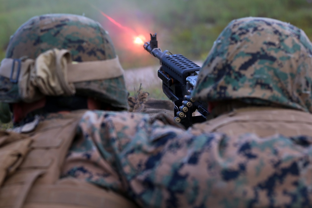 DVIDS - Images - 2nd LAAD Marines shoot straight during weapon systems ...