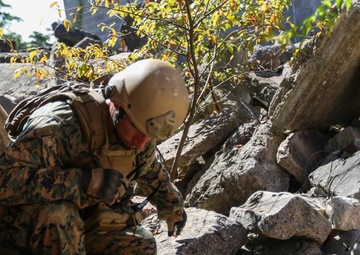 EOD conducts counter IED skills demonstration training