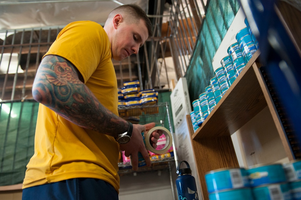 Service Members Volunteer for PAWS During LA Fleet Week