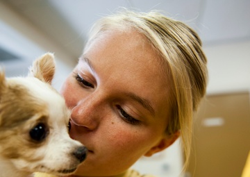 America Volunteers with PAWS During LA Fleet Week 2016