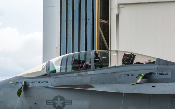 Electronic Attack Squadron 136 changes command