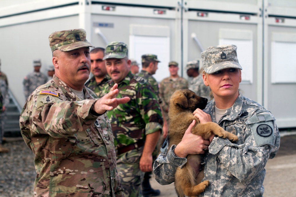 Final Phase of Resolute Castle 2016