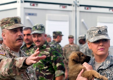 Final Phase of Resolute Castle 2016