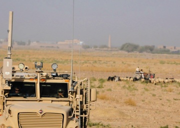 Life in the Slow Lane