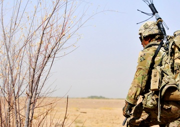 Life in the Slow Lane