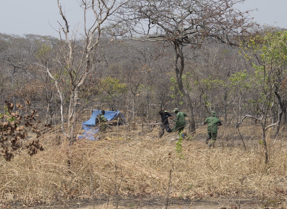 Tanzania rangers showcase anti-poaching skills