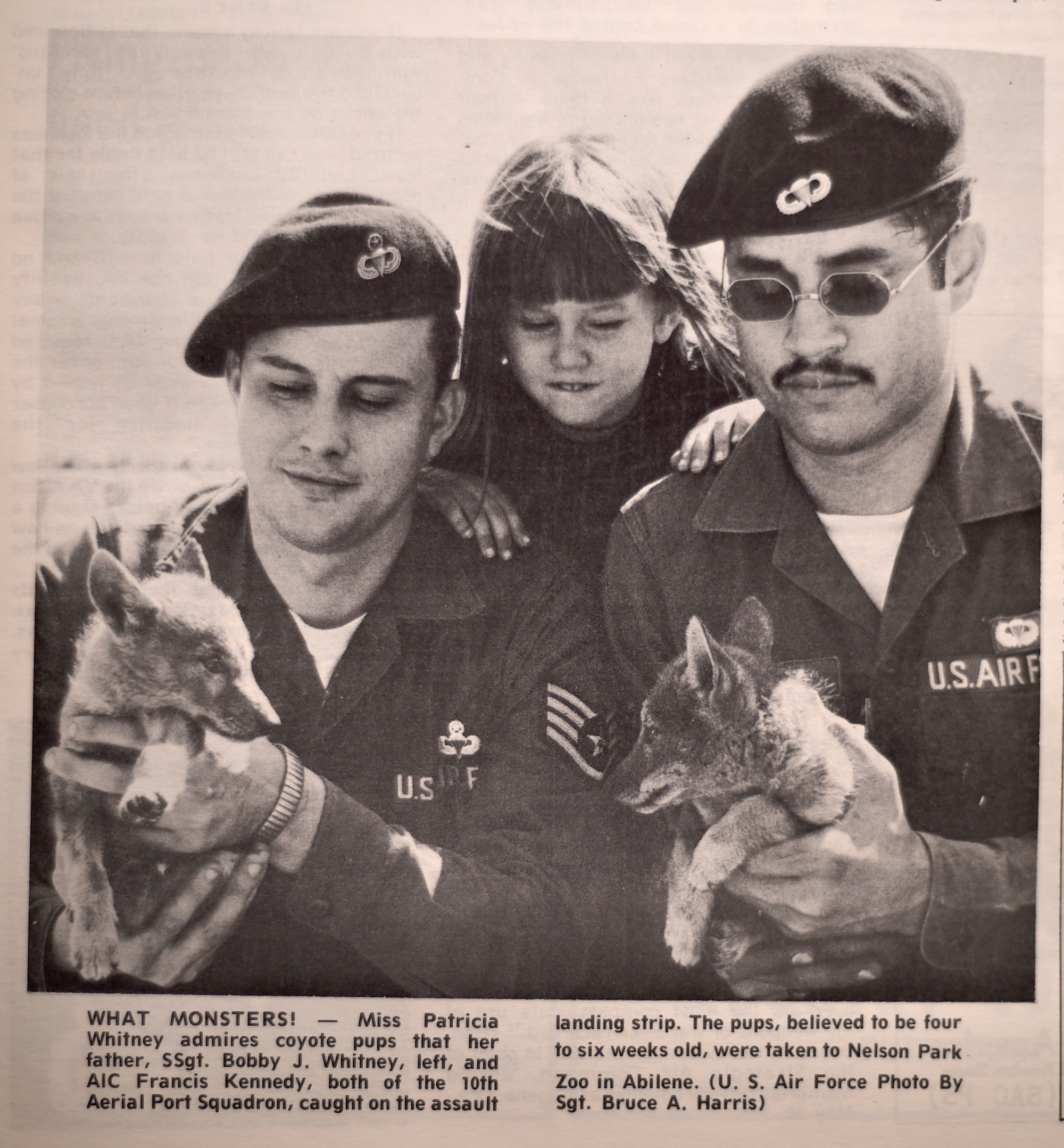 Are Dogs Allowed At Dyess Park