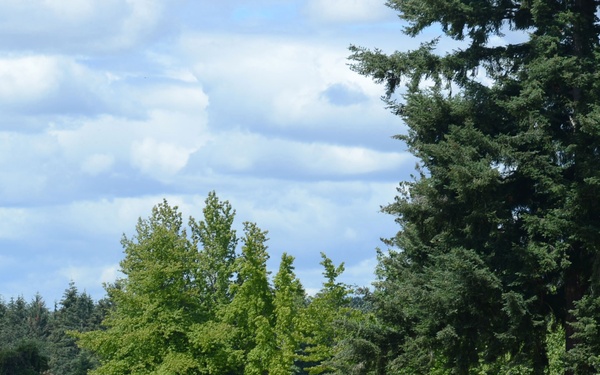 7th Infantry Division Welcome Ceremony