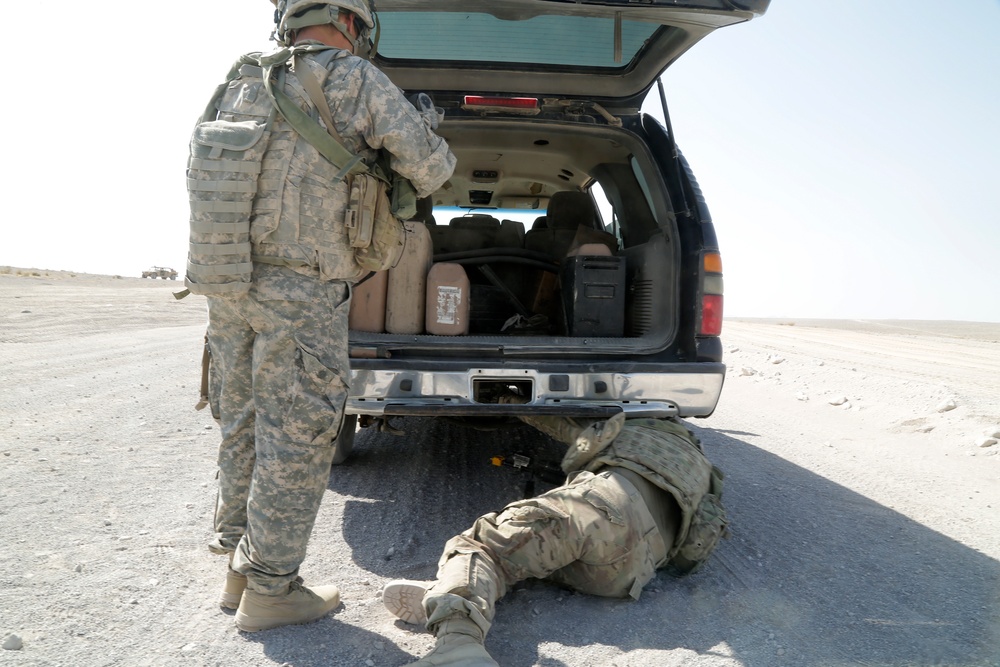 Searching for IEDs