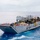 Landing Craft Utility 1634 Departs the Well Deck of USS Green Bay (LPD 20) Landing Craft Utility 1634 Departs the Well Deck of USS Green Bay (LPD 20)