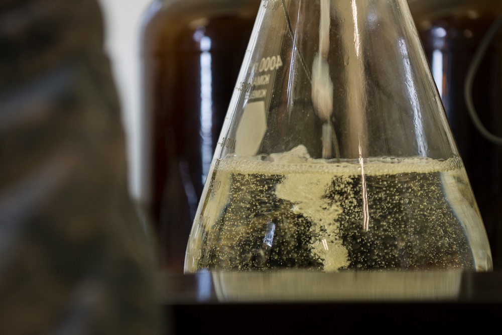 Fuels supply: The science guys