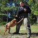MWDs: Working hand-in-paw to remain combat ready