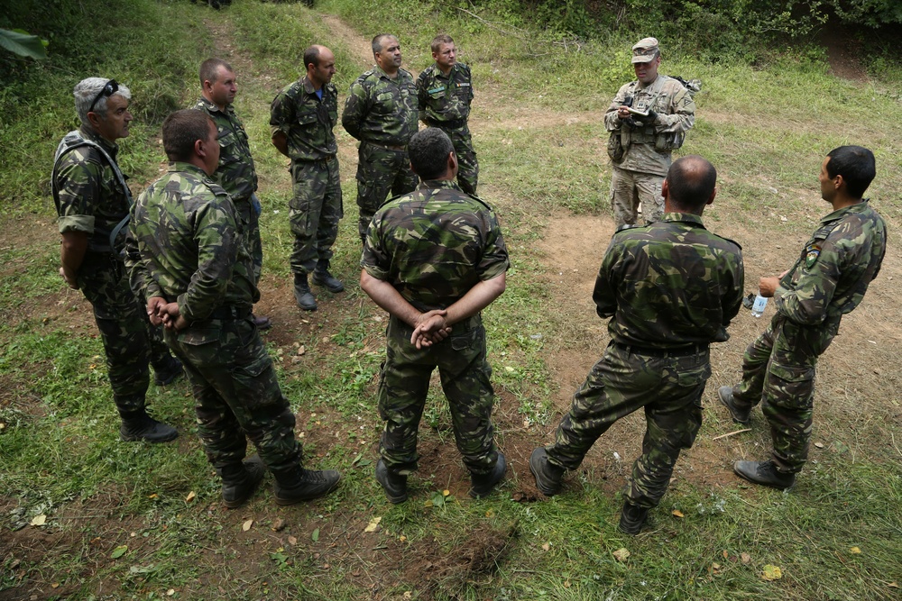 COMBINED RESOLVE VII