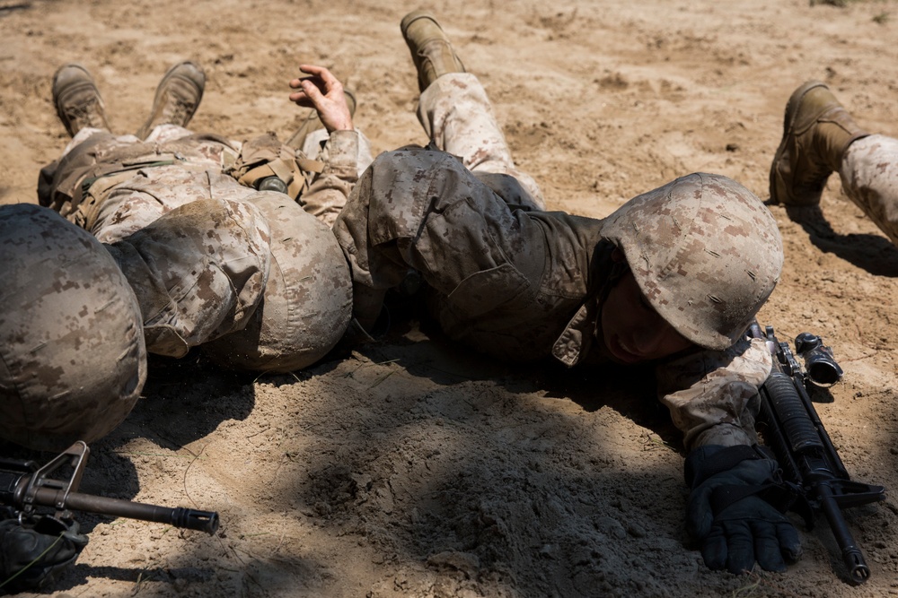 Fox Company goes through the Crucible