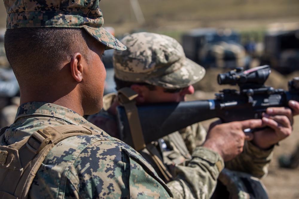 U.S. Marines, Bulgarians fire sniper rifles