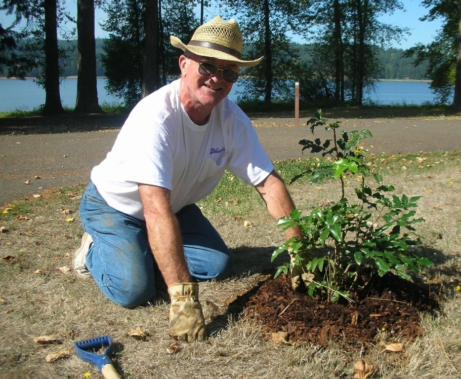 Plant a tree, camp for free