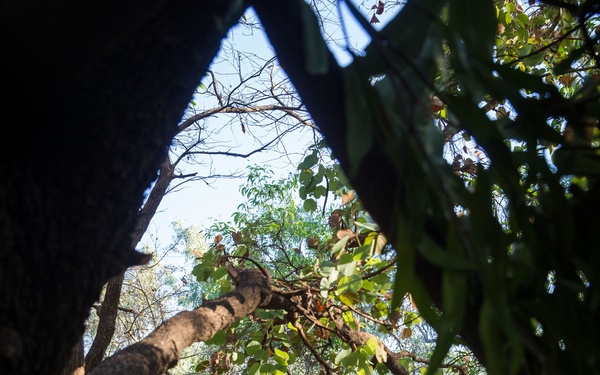 Exercise Kowari 2016