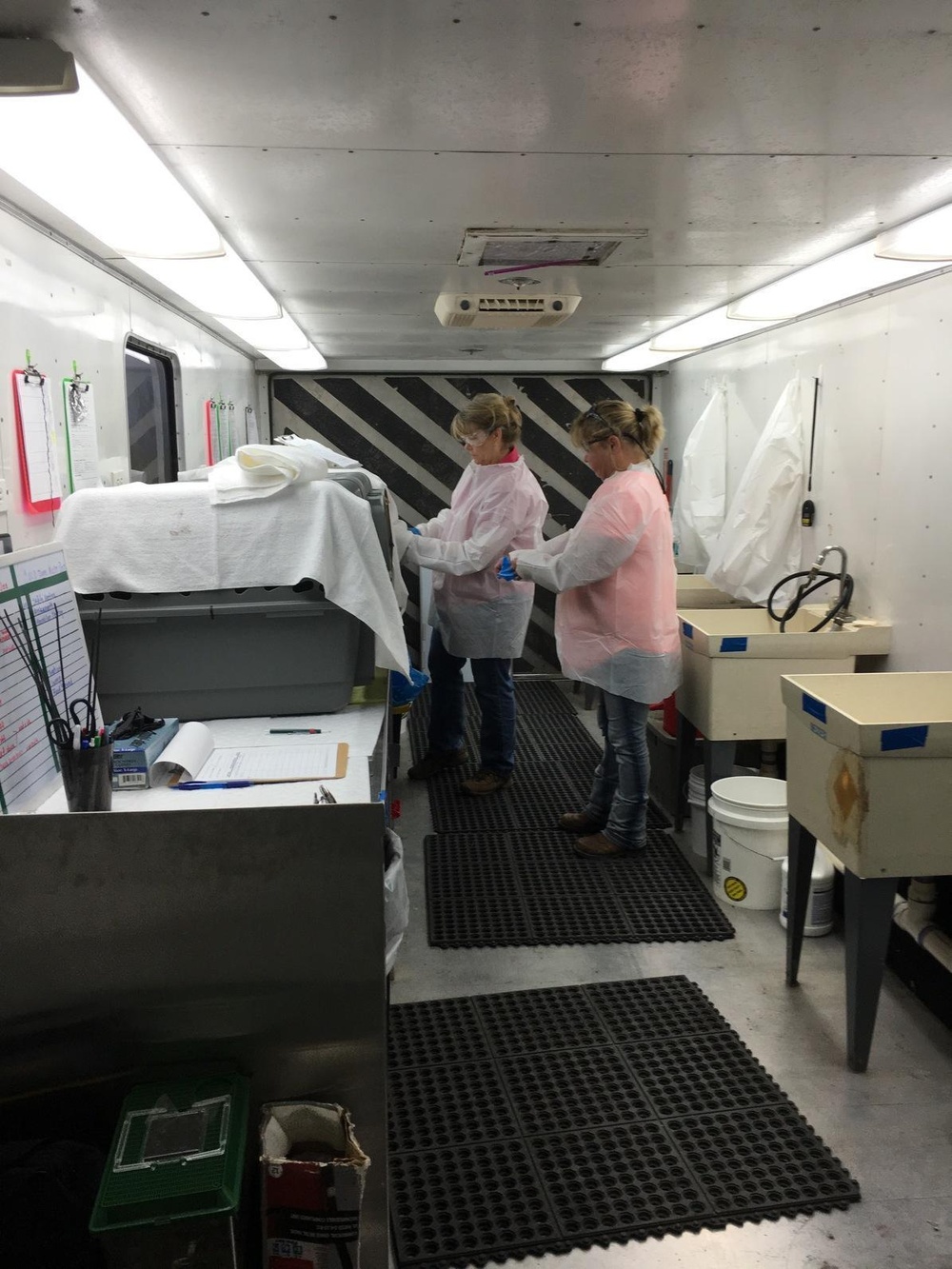 Wildlife and Fisheries assist impacted wildlife