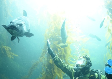 EOD Diver Presentation at Birch Aquarium During San Diego Fleet Week 2016