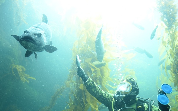 EOD Diver Presentation at Birch Aquarium During San Diego Fleet Week 2016