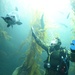 EOD Diver Presentation at Birch Aquarium During San Diego Fleet Week 2016