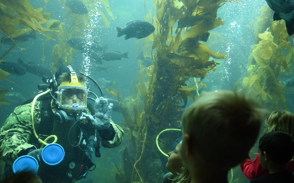 EOD Diver Presentation at Birch Aquarium During San Diego Fleet Week 2016