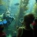EOD Diver Presentation at Birch Aquarium During San Diego Fleet Week 2016