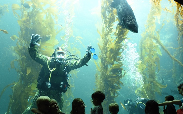 EOD Diver Presentation at Birch Aquarium During San Diego Fleet Week 2016