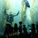EOD Diver Presentation at Birch Aquarium During San Diego Fleet Week 2016