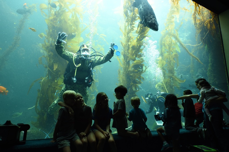 EOD Diver Presentation at Birch Aquarium During San Diego Fleet Week 2016