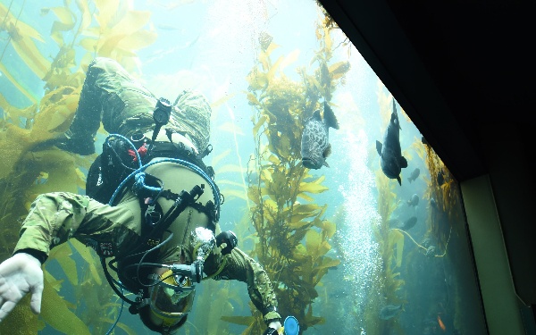 EOD Diver Presentation at Birch Aquarium During San Diego Fleet Week 2016